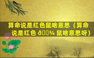 算命说是红色鼠啥意思（算命说是红色 🌾 鼠啥意思呀）